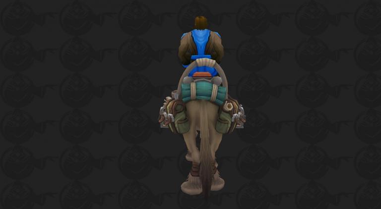 back.jpg